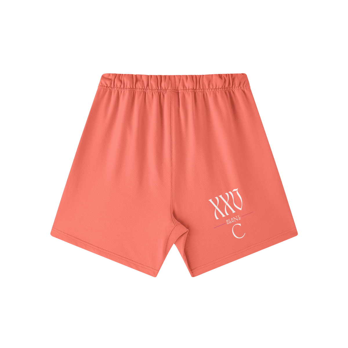 425255-YDF-Back Side